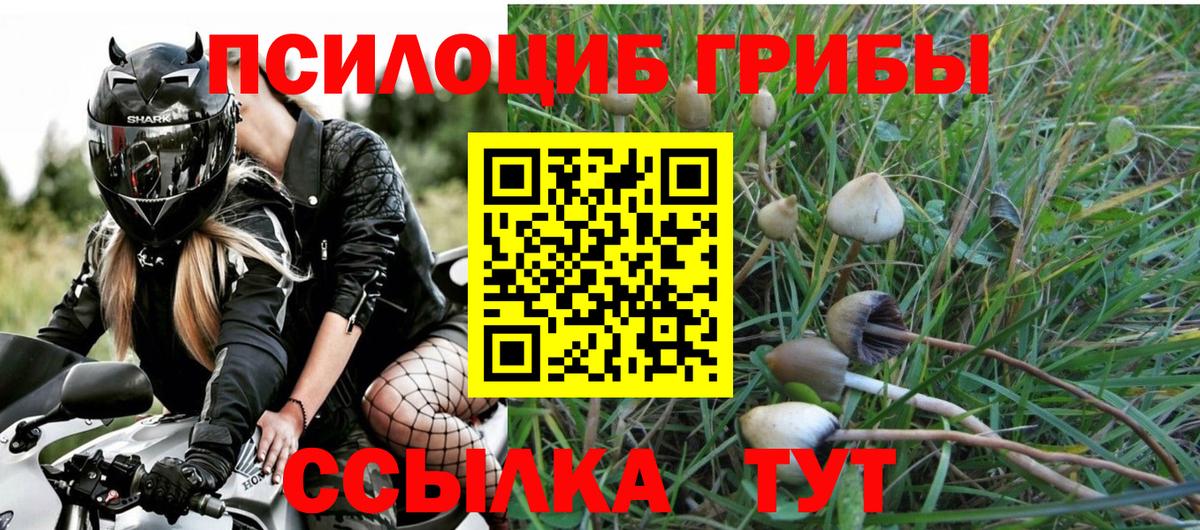 Псилоцибиновые грибы прущие грибы  Вход с VPN  Камышин  Галлюциногенные грибы Cubensis 