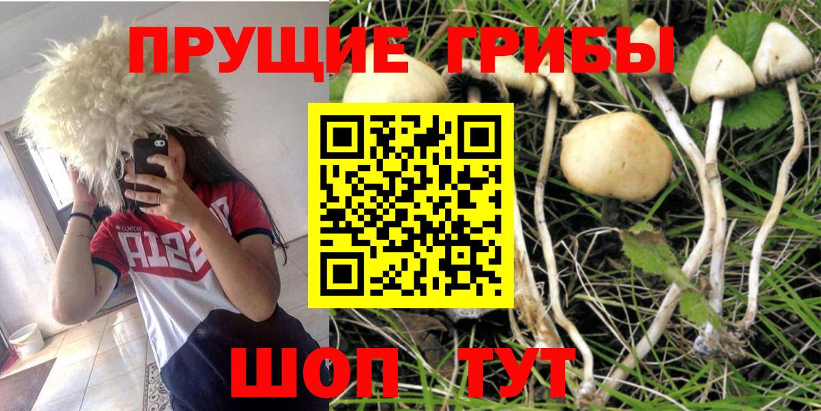 Псилоцибиновые грибы MAGIC MUSHROOMS Камышин