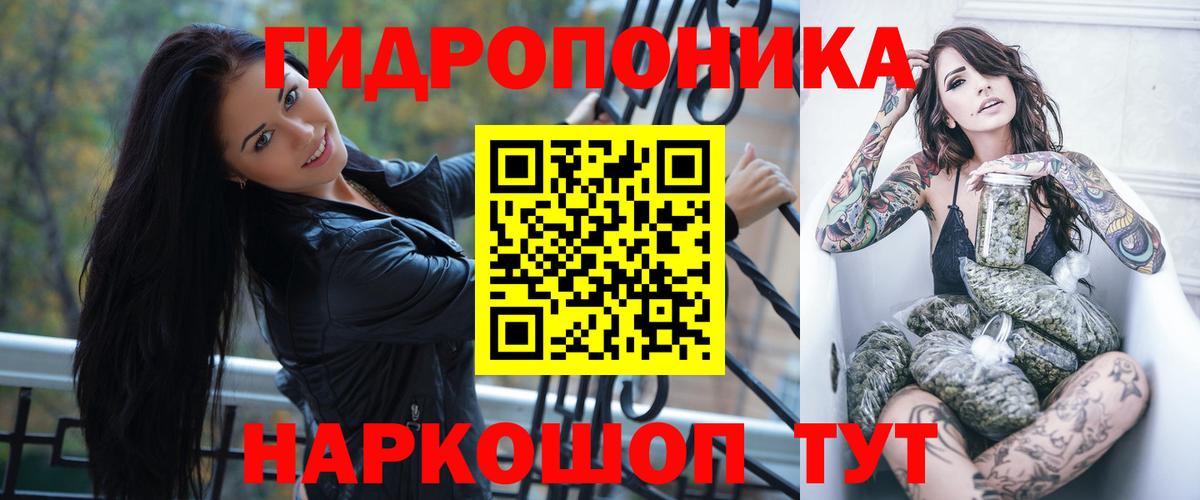 Бошки марихуана конопля Камышин
